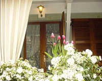 Hotel Clodia ***