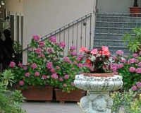 Hotel Villa Elite ***