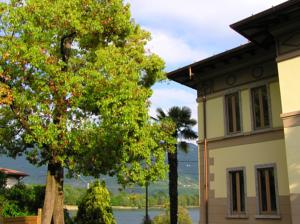 Bed & Breakfast Villa Palma