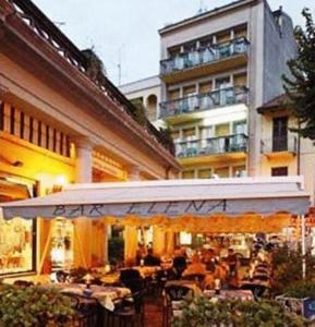 Hotel Elena *